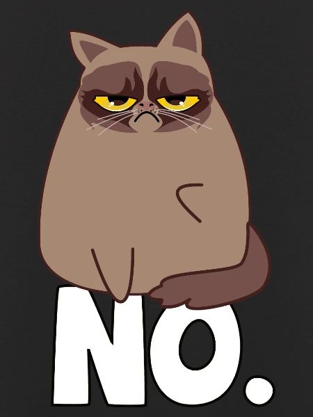 Grumpy Cat