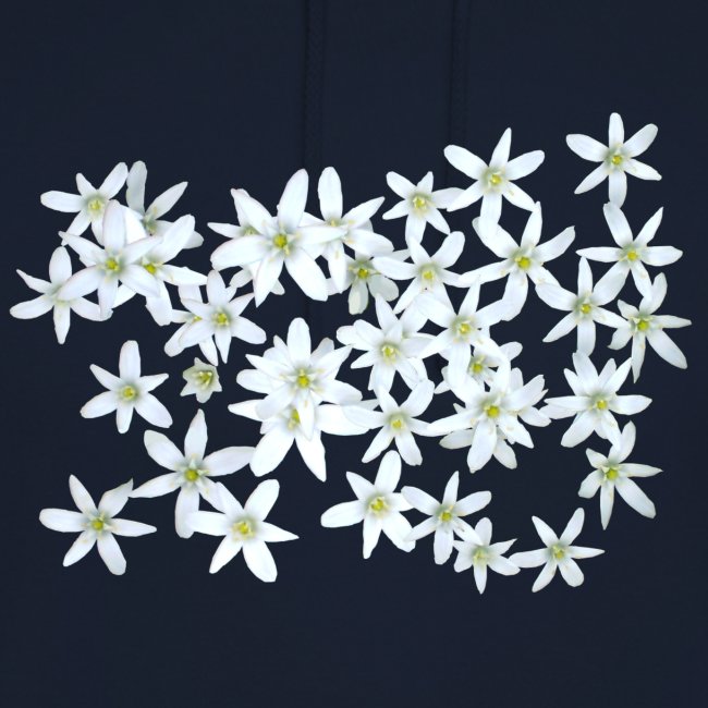 Weiße Sterne Blume Pflanze