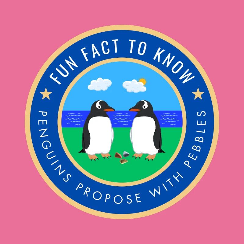 Penguins propose with pebbles