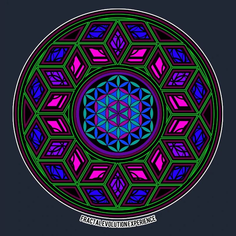 Fractal Evolution Experience Kaleidoscope Mandala