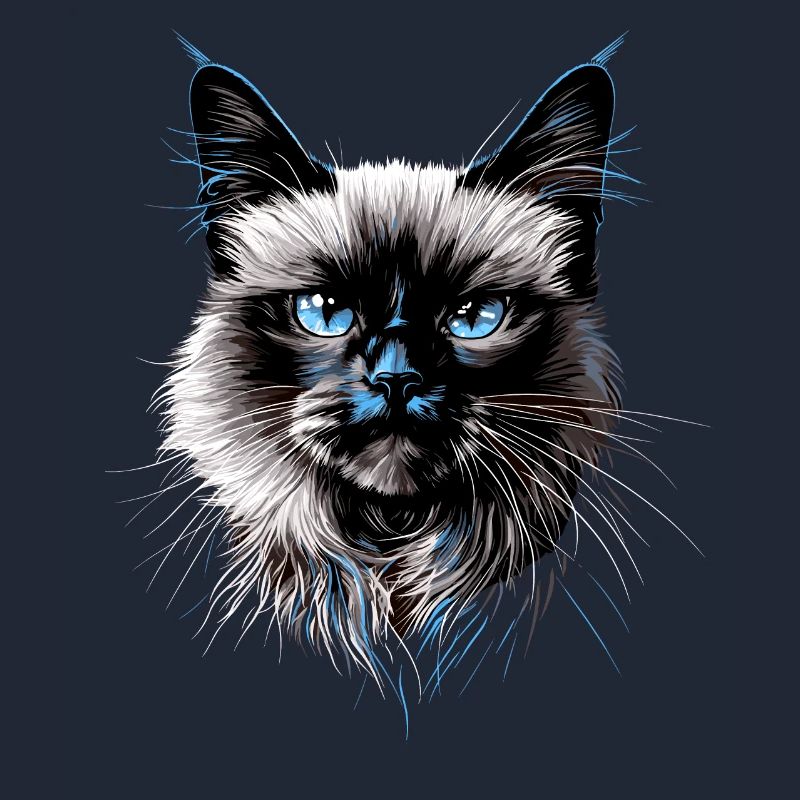Chat Birman Chat Birman Sacré Chat Birman Mignon Chats Birmans
