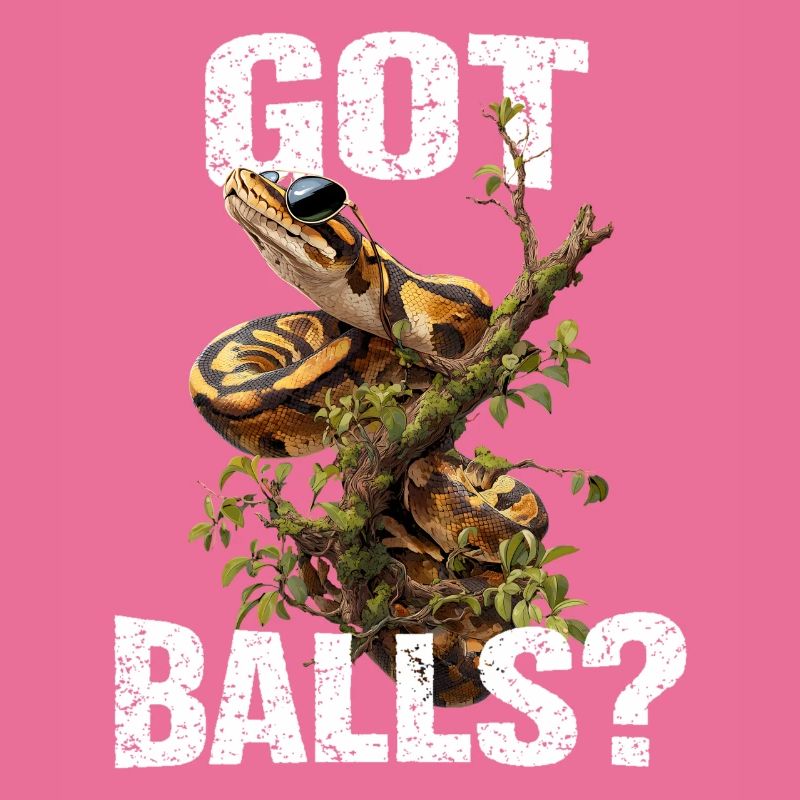 Königspython Schlangen Liebhaber Terrarium Python