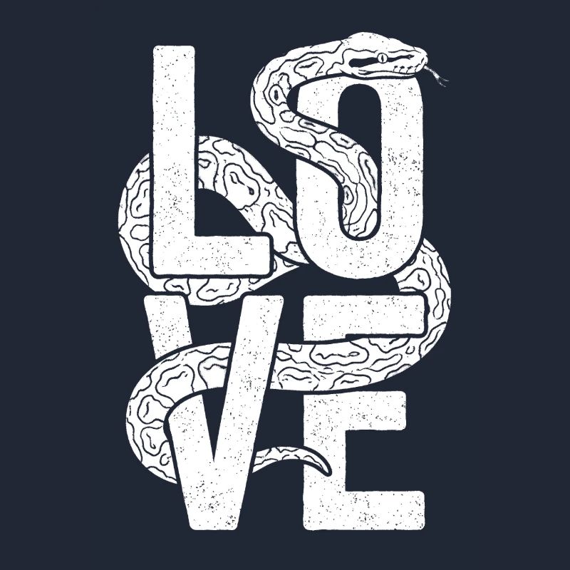 Les serpents rois Python ADORENT les pythons de terrarium