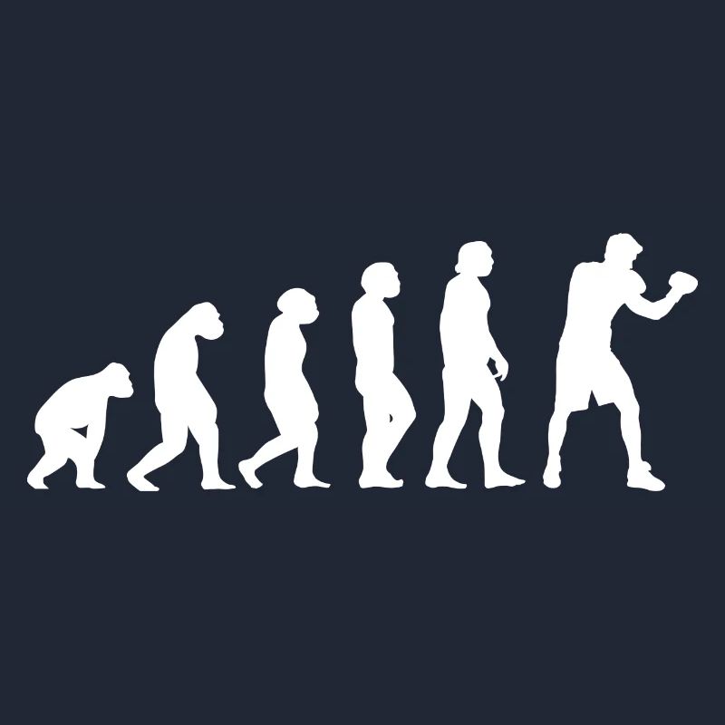 Sport Evolution Boxing