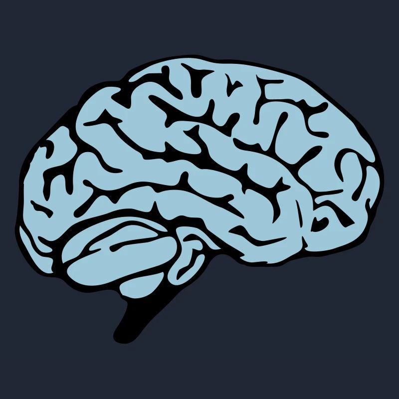 brain design