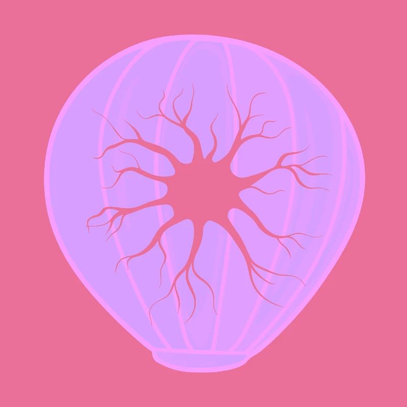 Biologie Evolution Studium