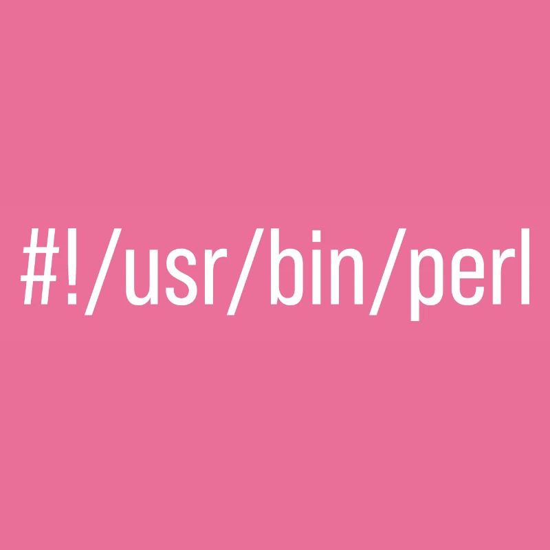 Usr Bin Perl Programmer Programming Languager Meme
