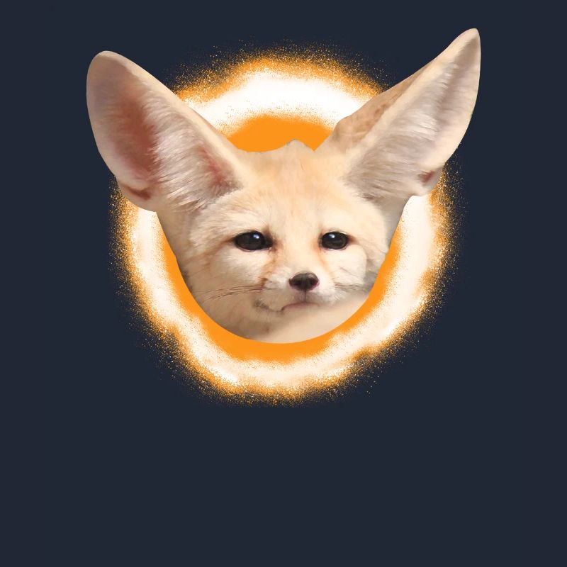 Fennek desert fox fox fox gift