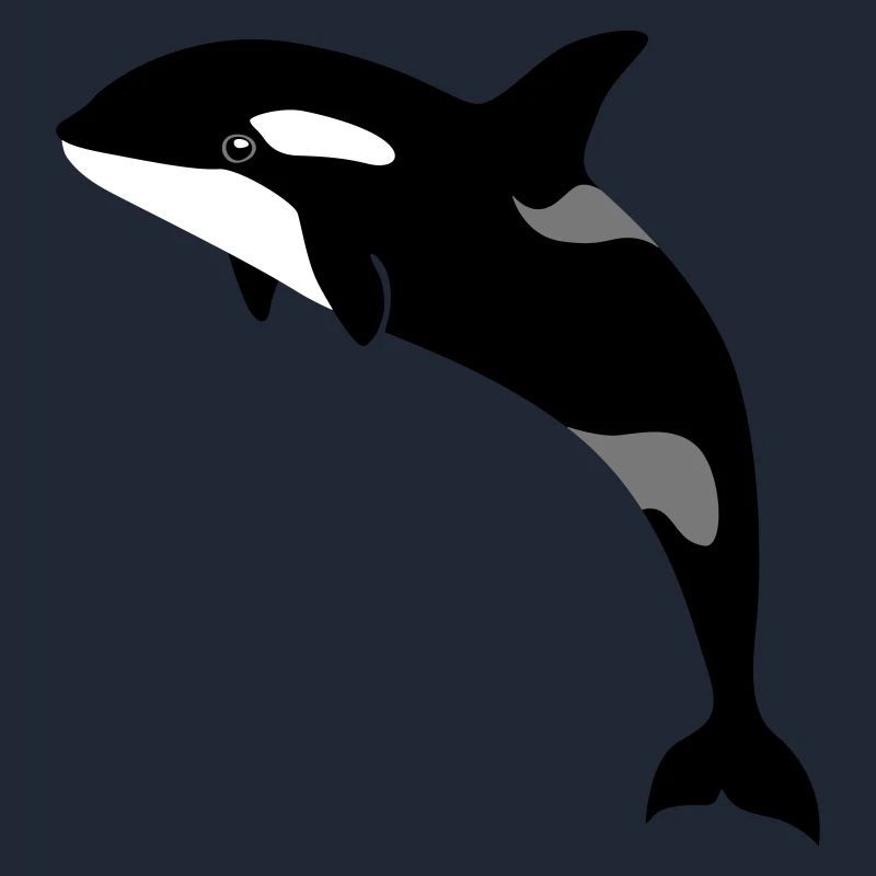 Orca sauter