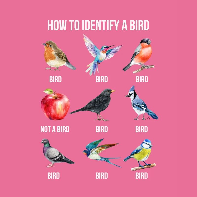 Funny Bird Nerd Design Comment identifier un oiseau
