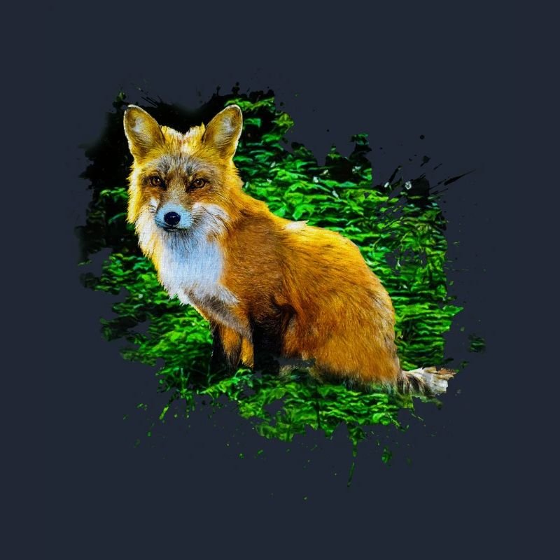 Predator Red Fox Fox Lover Fox