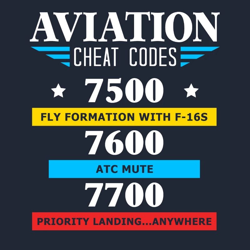 Aviation Cheat Codes gift, Aviation gift,