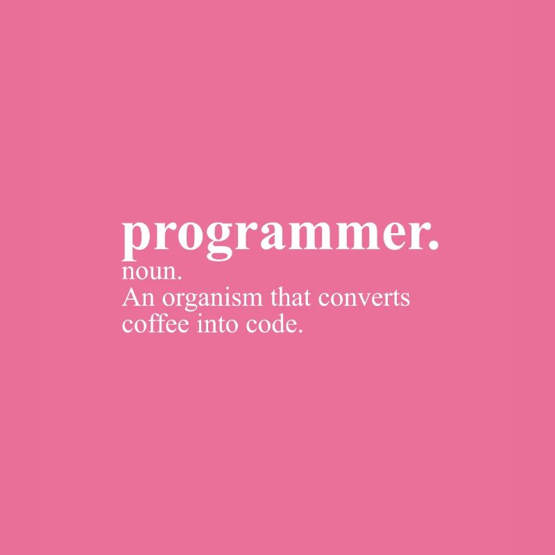 Programmer Definition