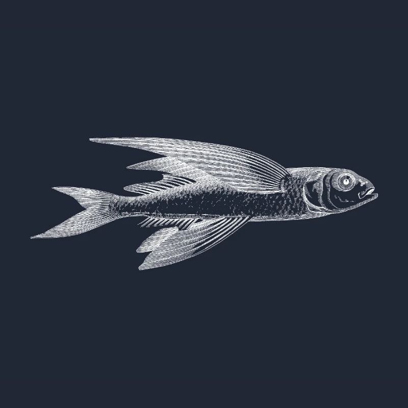 A flying fish
