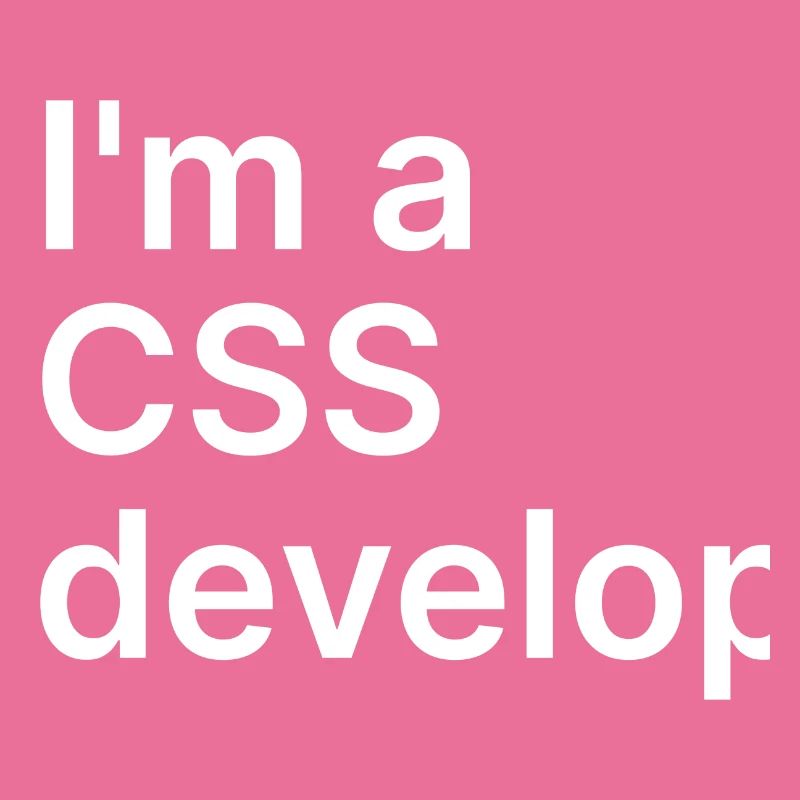 I'm a CSS developer
