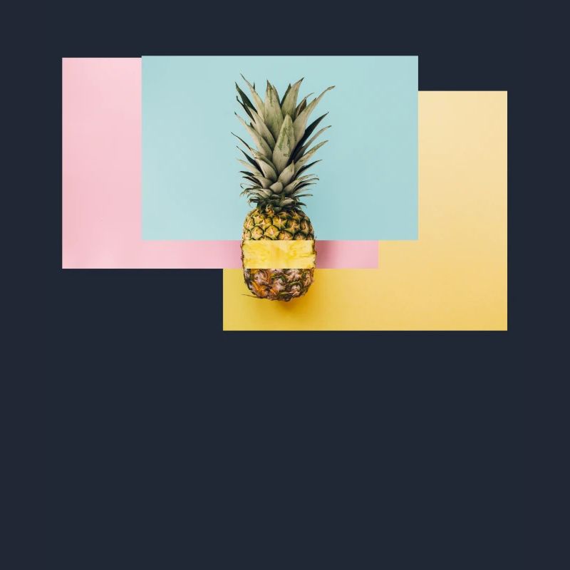 Bunte Ananas / Geschenk Idee