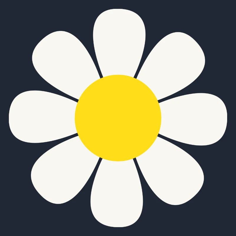 Gänseblümchen Blume Fleur de marguerite
