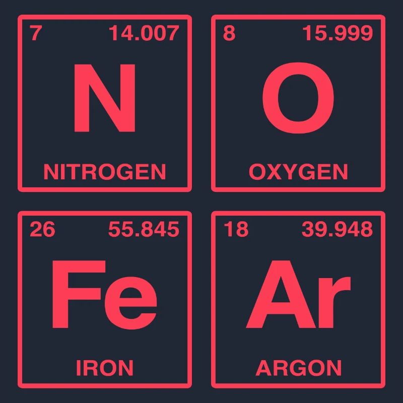 NO FEAR - avec des éléments du système de perdiode