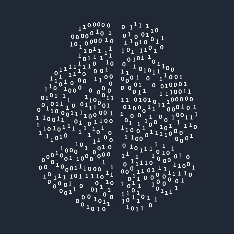 Binary Brain