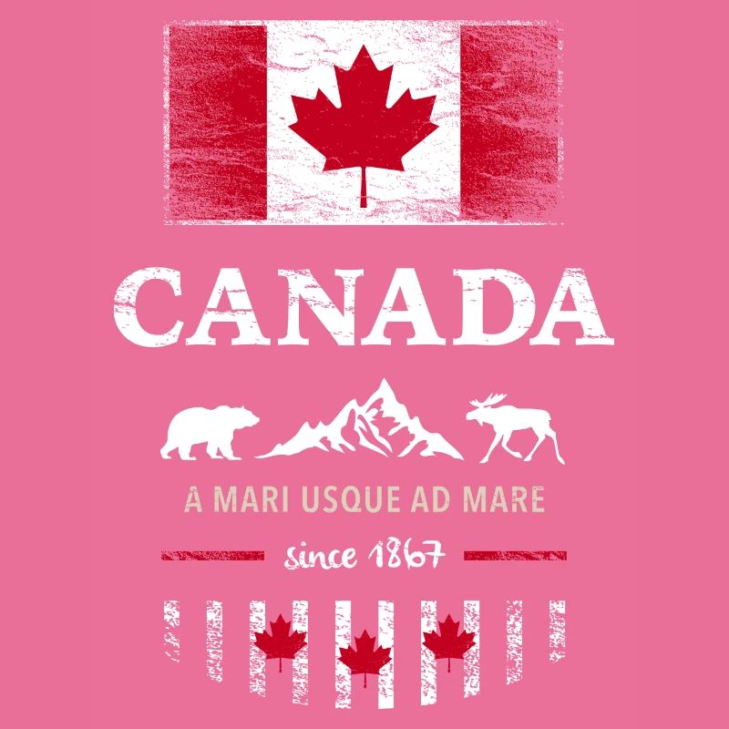 Canada Canada Amérique drapeau feuille d’érable drapeau ours