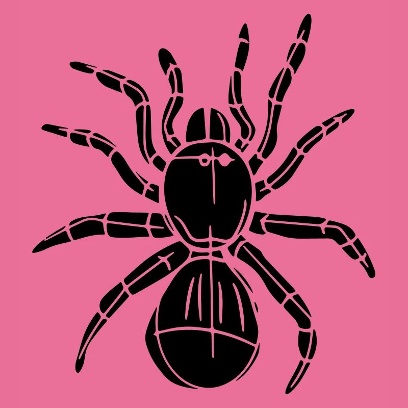 spider