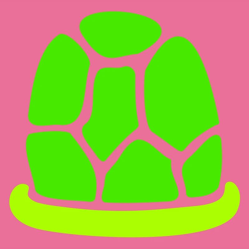 Turtle shell without turtle cute shell fun