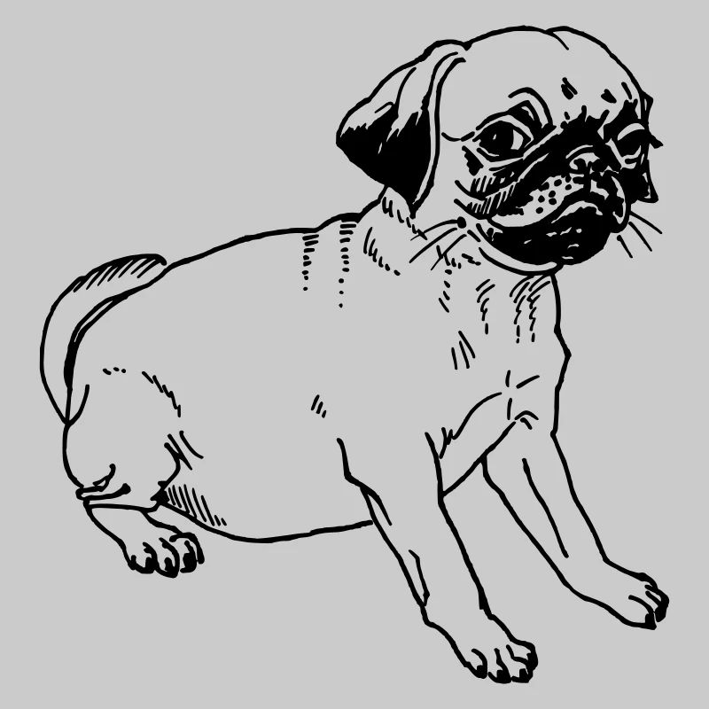 Mops guckt