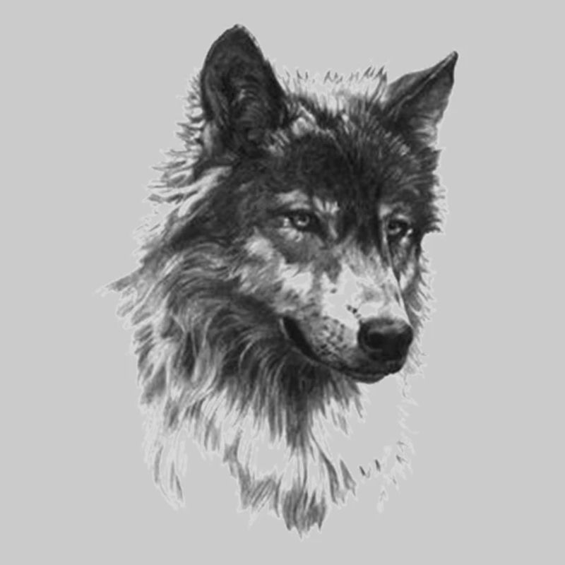 wolf