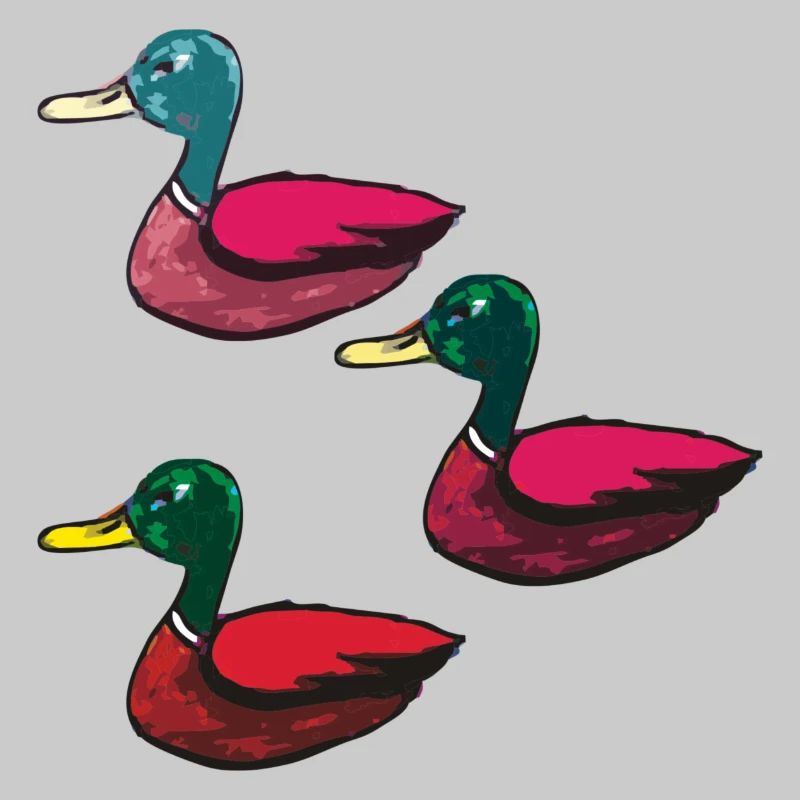 Ducks pack of three