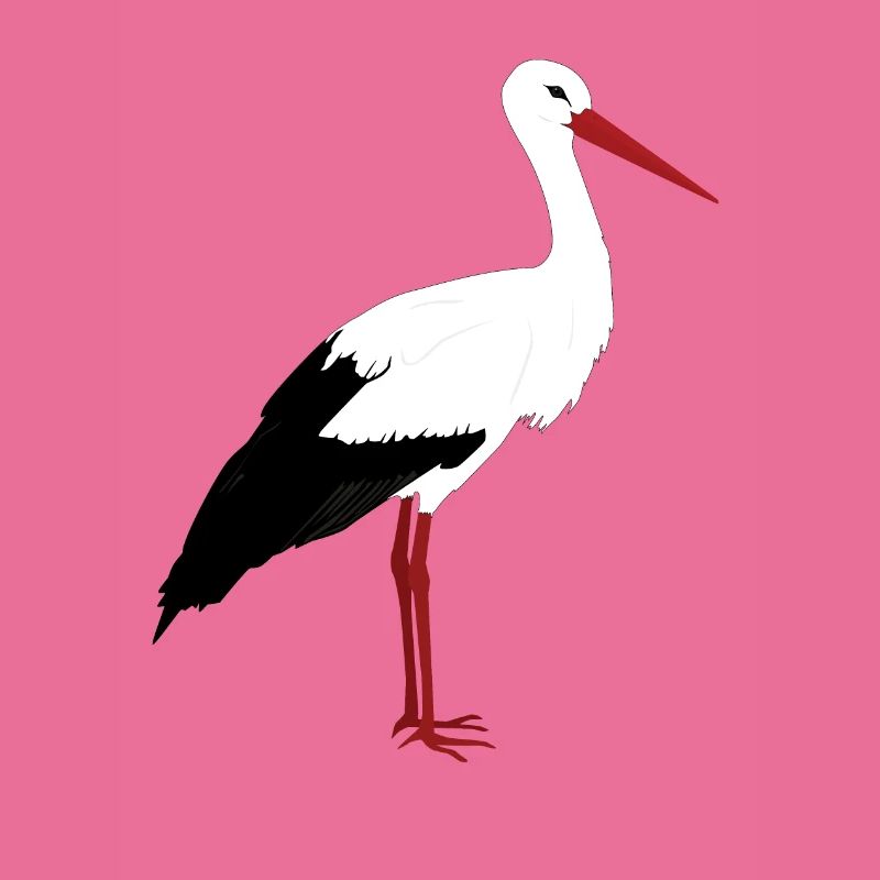 Stork stands