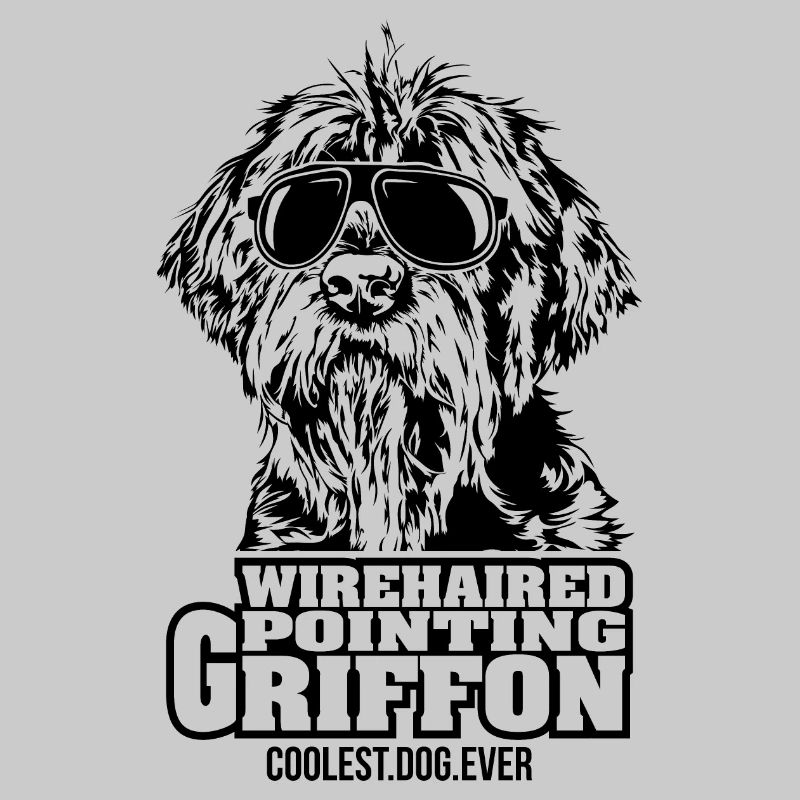 WIREHAIRED POINTING GRIFFON chien le plus cool de tous les temps Chiens