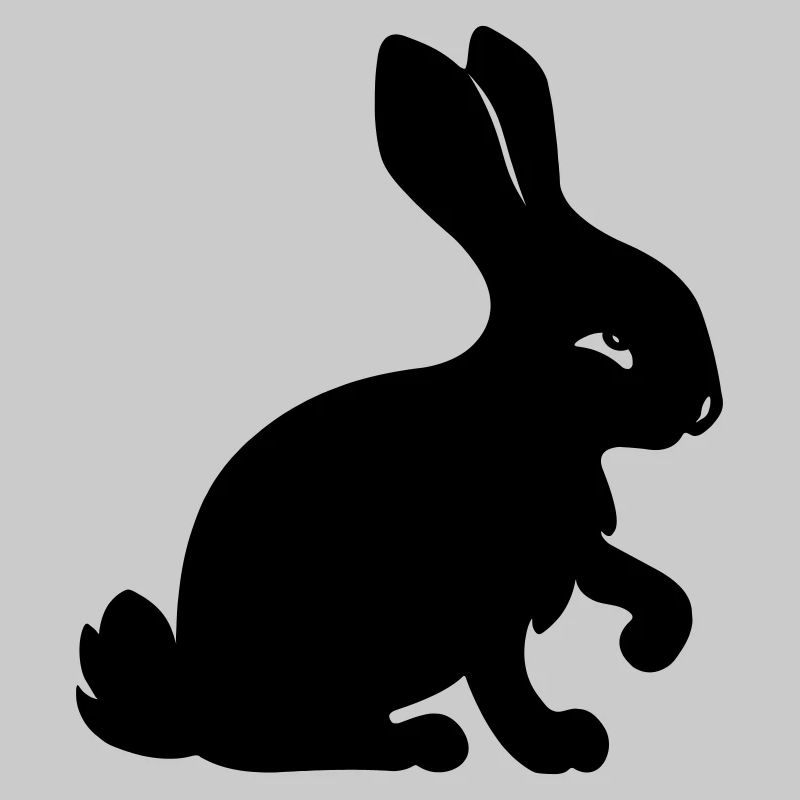 Image d’ombre de lapin année du lapin
