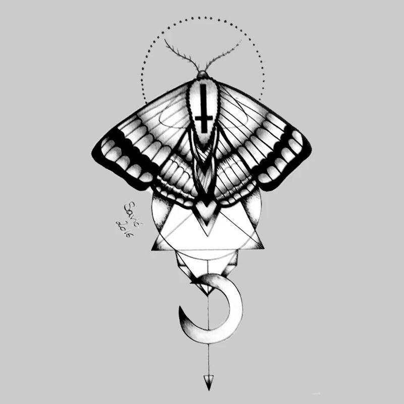 moth