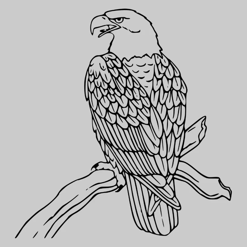eagle208