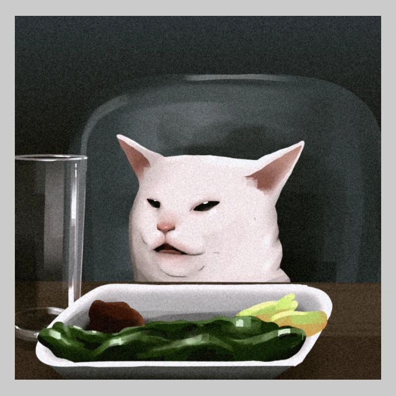 same cat