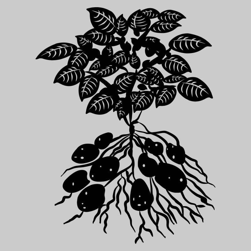 Potato plant logo