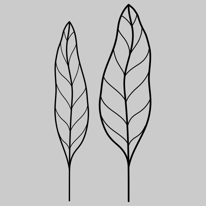 Feuille