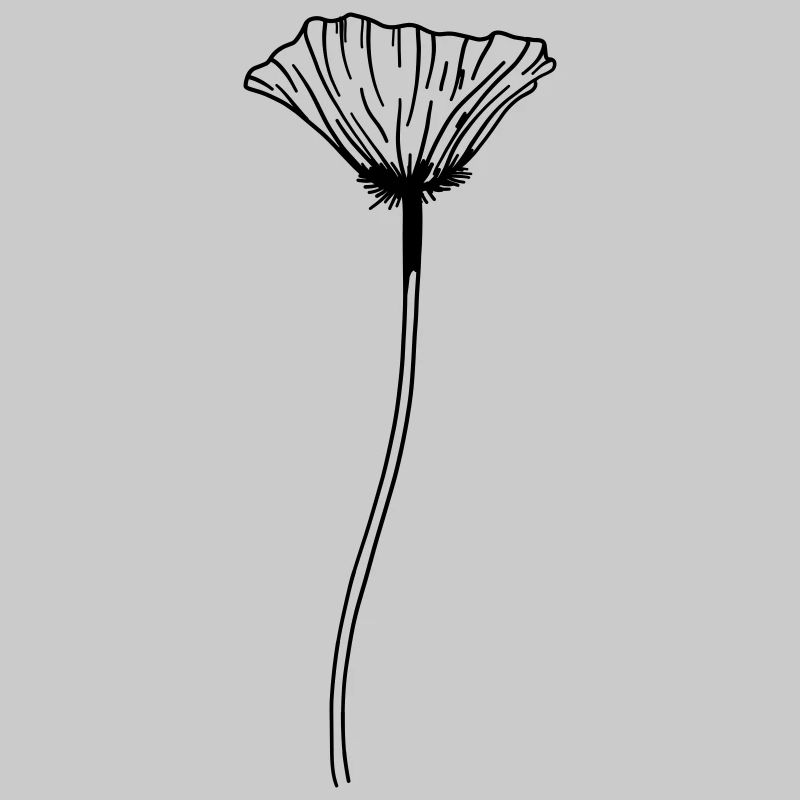 Fleur de pavot