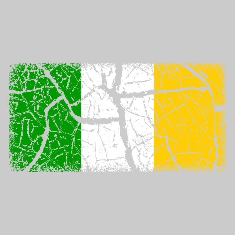Offaly (comté)