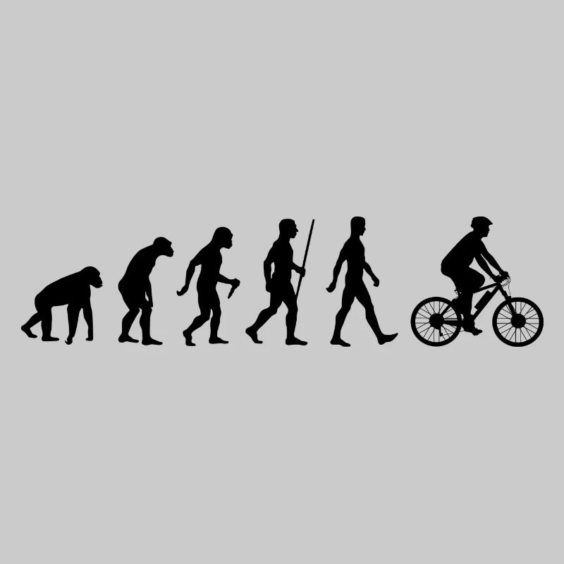 E-Bike Evolution Pedelec Bicycle Ebike