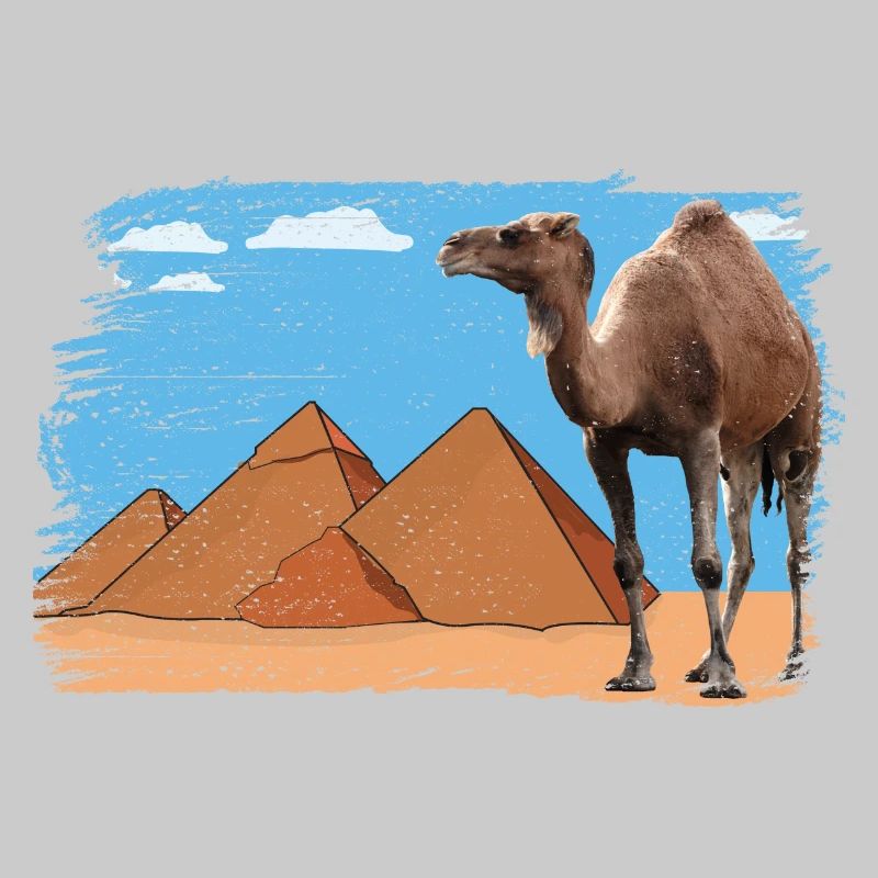 Chameau devant les pyramides
