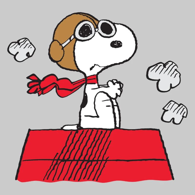 Peanuts Snoopy Piloot Vliegen