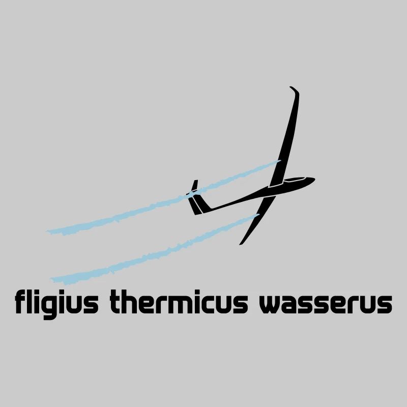 Glider Gliding Glider Glider Pilot Pilot