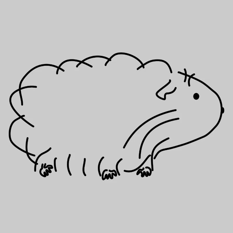 Cochon d'Inde