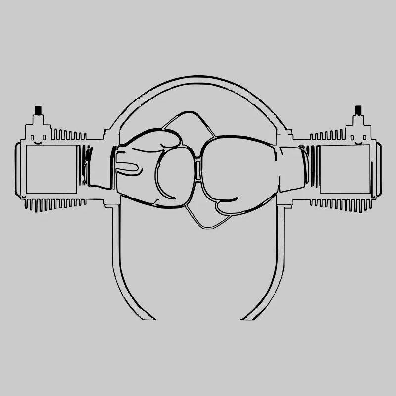 Motore boxer