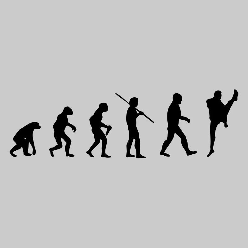 Kampfsport Evolution