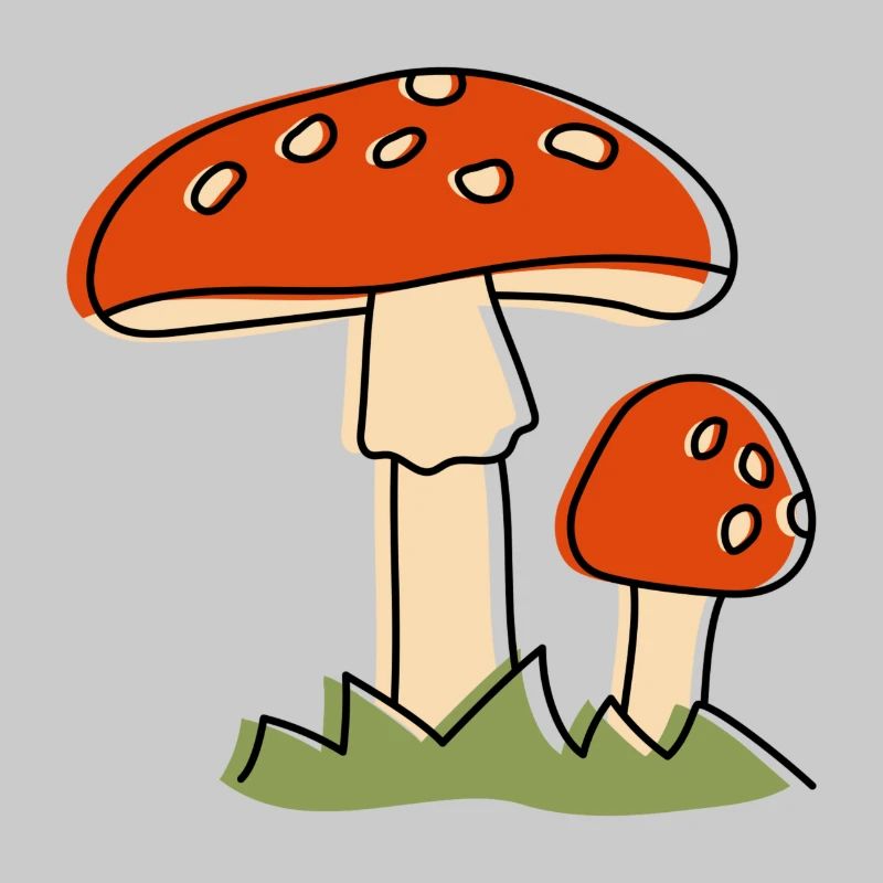 Mouche champignons agaric Champignon
