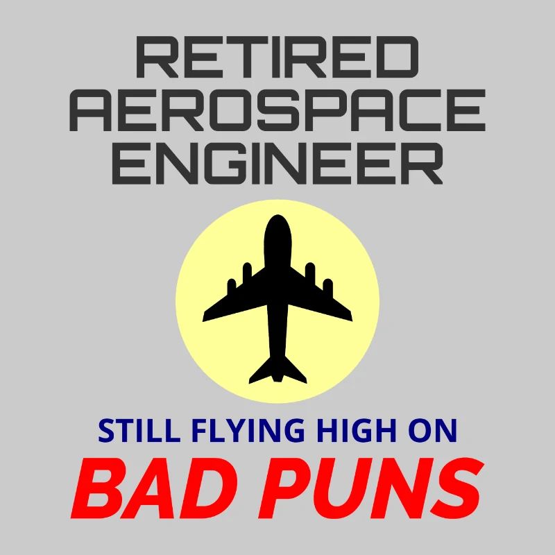 Retired Aerospace Engineer Flight Mechanics Plane