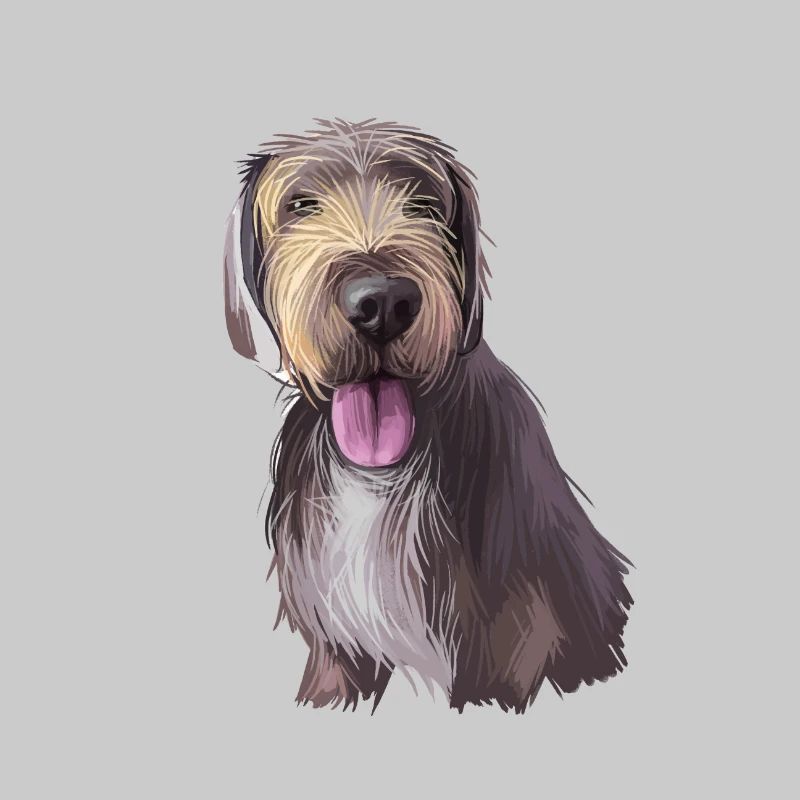 Slovak Rough Haired Pointer Dog Illustration