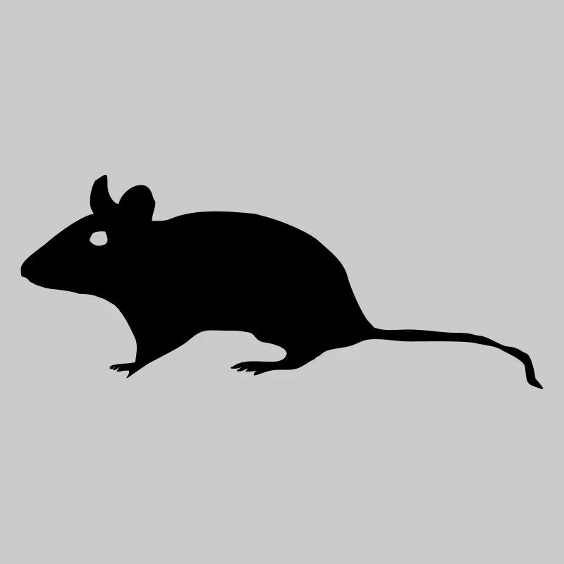Maus